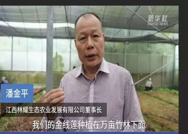 Xinhua uudisteagentuur intervjueeris Jiangxi Linyao ökoloogilise põllumajanduse arendusfirma Jiangxi Linyao ökoloogilise põllumajanduse arendamise Co., Ltd. esimeest Pan Jinpingit