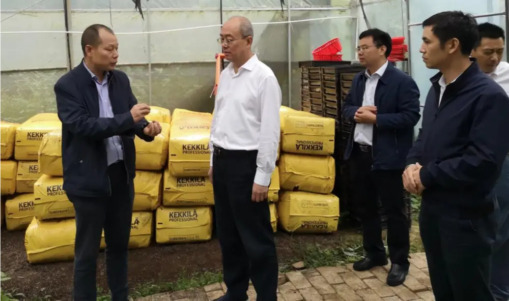 Xie Guanghua, parteisekretär ja Jiangxi provintsi traditsioonilise hiina meditsiini administratsiooni direktor, viib läbi uuringuid Anoectochiluse istutusbaasis