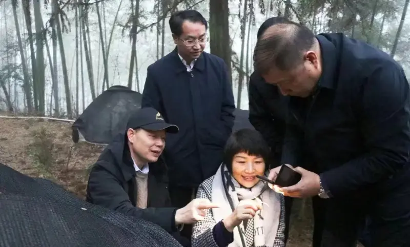 Lu Xiaoqing, endine Jiangzhong Pharmaceuticali esimees ja praegune Jiangxi provintsi parteikomitee alalise komitee liige ja reklaamiosakonna direktor, kontrollib meie istutusbaasi